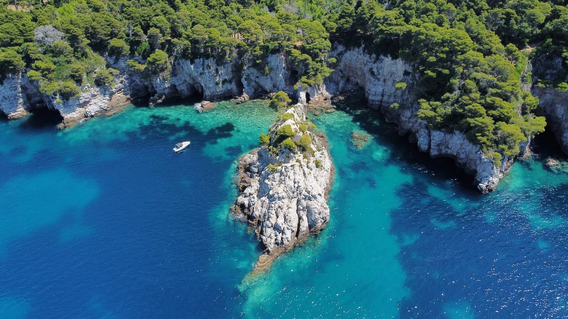 Half day private cruise